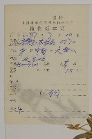 寬葉變黑繩子草藏品圖，第2張