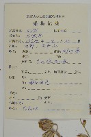 寬葉變黑繩子草藏品圖，第2張