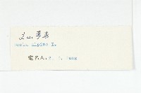 高山葶藶藏品圖，第3張