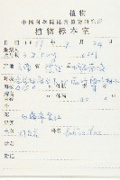 匍匐葶藶藏品圖，第2張