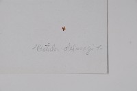 高山樺藏品圖，第2張