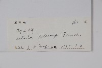 高山樺藏品圖，第2張