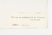 西藏青莢葉藏品圖，第3張