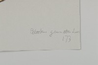 哥蘭葉藏品圖，第3張