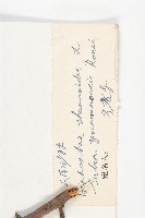 雲南沙棘藏品圖，第3張