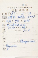 雲南沙棘藏品圖，第2張