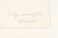 登錄號:S022137藏品圖，第3張