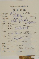 美葉藏菊藏品圖，第2張