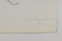 登錄號:S022147藏品圖，第3張