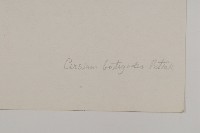 總狀薊藏品圖，第3張