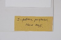 登錄號:S022154藏品圖，第2張