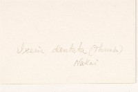 齒緣苦實藏品圖，第3張