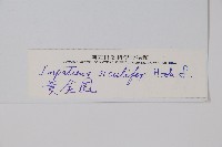 黃金鳳藏品圖，第2張