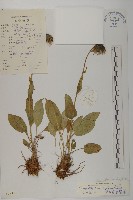 登錄號:S022185藏品圖，第1張