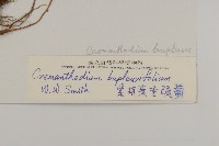 登錄號:S022185藏品圖，第3張