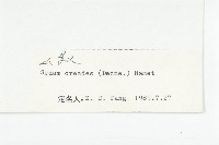 山景天藏品圖，第3張