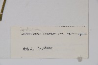 登錄號:S022239藏品圖，第2張