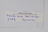 滇川角蒿藏品圖，第2張