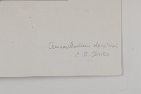 雲南金蓮花藏品圖，第4張