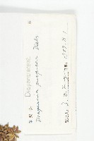 紅花岩梅藏品圖，第3張