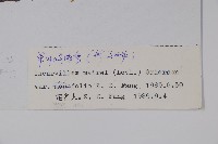 登錄號:S022454藏品圖，第2張