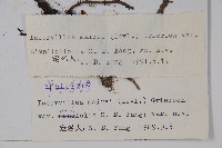 登錄號:S022455藏品圖，第2張