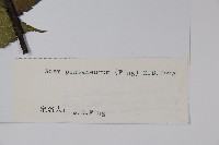 登錄號:S022480藏品圖，第2張