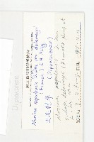 大花刺參藏品圖，第3張