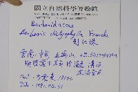 刺紅珠藏品圖，第2張