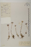 登錄號:S022596藏品圖，第1張
