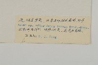 登錄號:S022596藏品圖，第3張