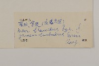 萎軟紫菀藏品圖，第3張