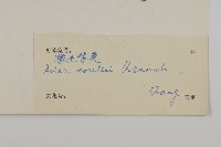 緣毛紫菀藏品圖，第3張