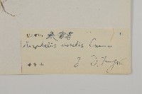 綠香青藏品圖，第3張