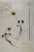 登錄號:S022617藏品圖，第1張