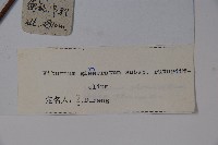 圓葉莢迷藏品圖，第2張