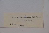 水紅木藏品圖，第2張