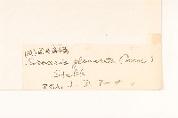 登錄號:S022702藏品圖，第3張