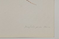 香青藏品圖，第3張