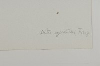 山白蘭藏品圖，第3張