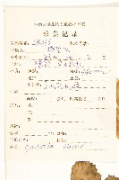 苞葉風毛菊藏品圖，第2張