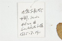 水朝陽花藏品圖，第2張