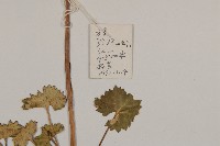 登錄號:S022738藏品圖，第2張