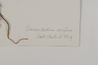 登錄號:S022738藏品圖，第3張