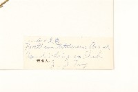 川西小黃菊藏品圖，第3張