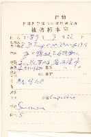 氈毛風毛菊藏品圖，第2張