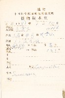 氈毛風毛菊藏品圖，第2張