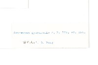 登錄號:S022750藏品圖，第3張