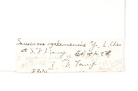 登錄號:S022751藏品圖，第3張