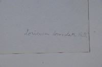 柳葉忍冬藏品圖，第2張